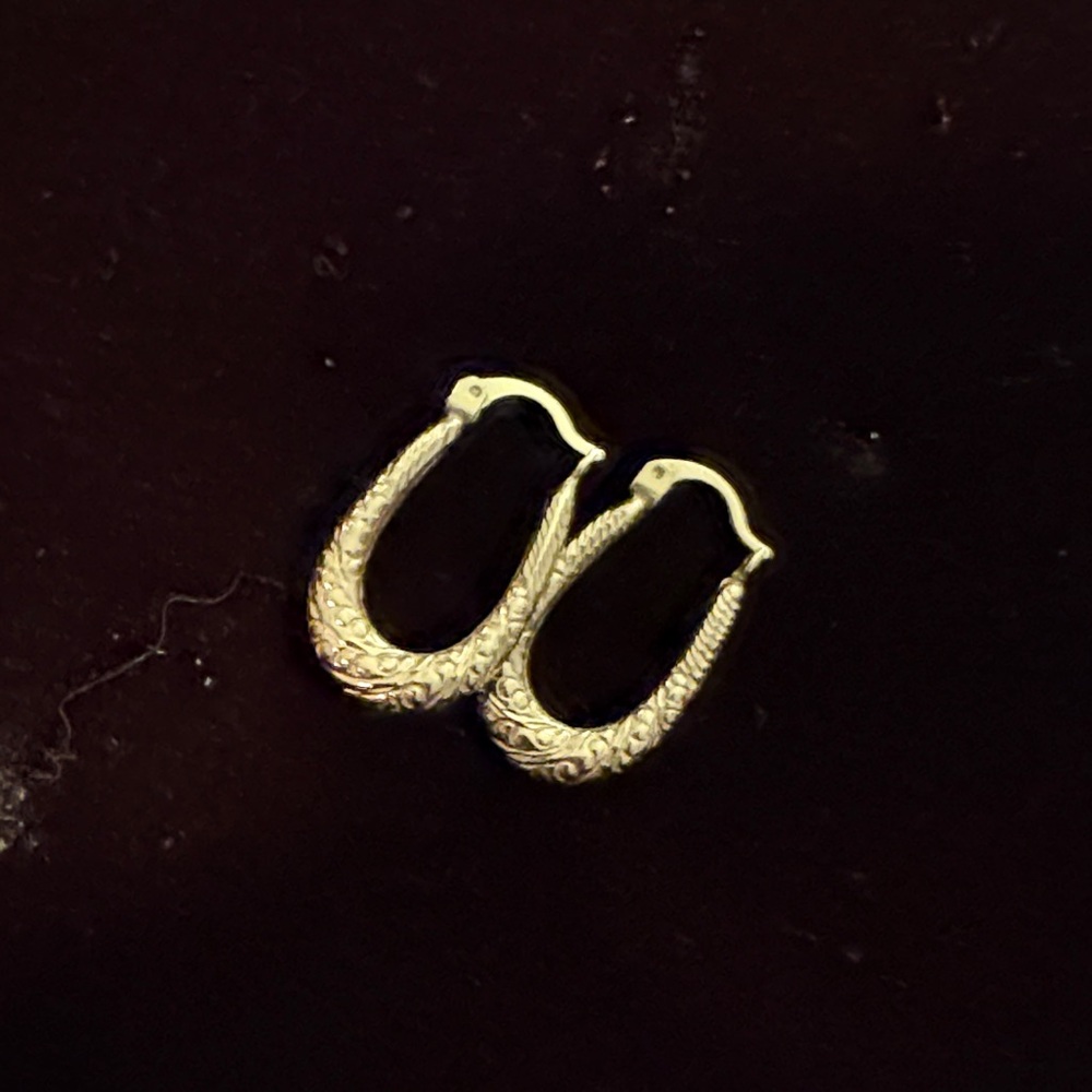 Intricate 14 K gold Hoop Earrings